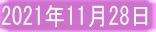 2021年11月28日